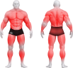 gym80_0023_body_universell_alle_muskelgruppen-1024x953.png