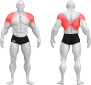 5015_시그넘 풀다운숄더 콤보 핀블럭머신.png