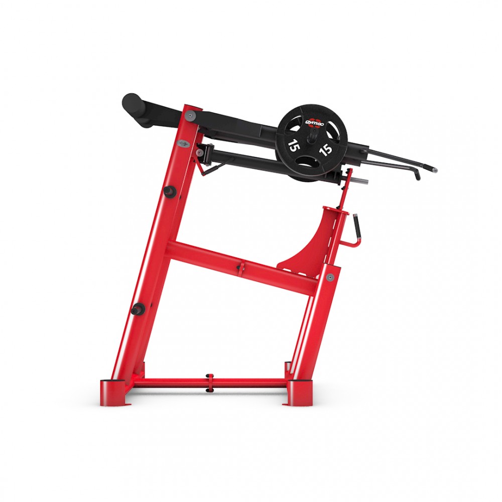 gym80_4388_viking_press_side.jpg