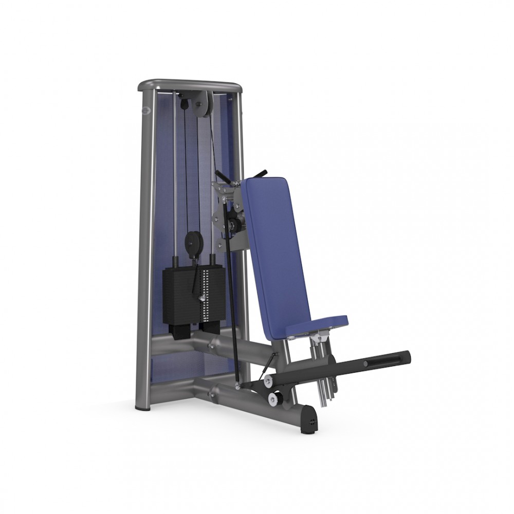 gym80_3095_trizeps_ueberkopf_overview.jpg
