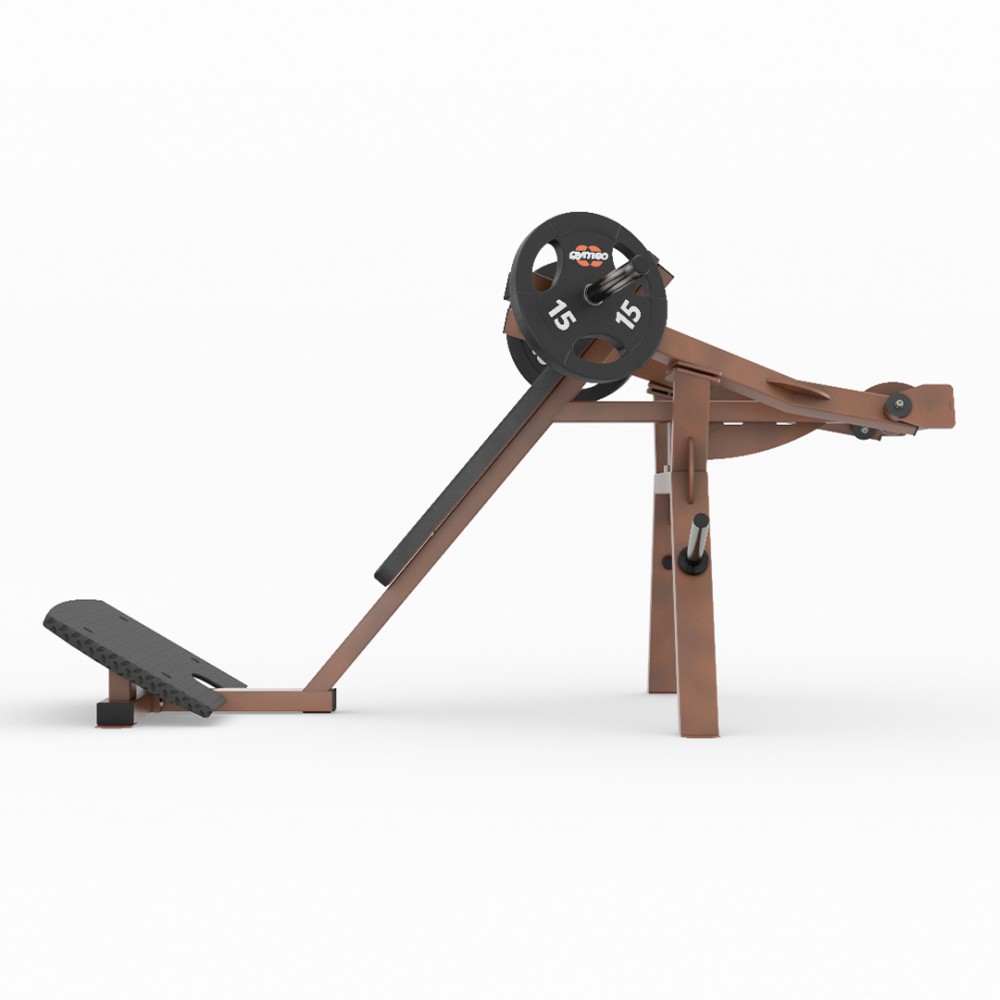 gym80_5902_schulterpresse_stehend_side.jpg