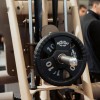 4392-fibo_08.jpg