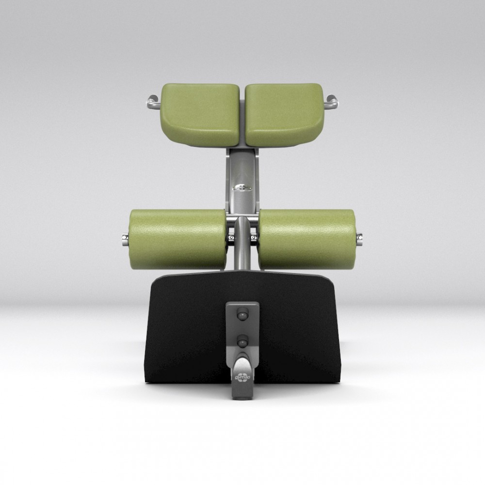 gym80_4119_basic_45-back_extension_NC_front.jpg