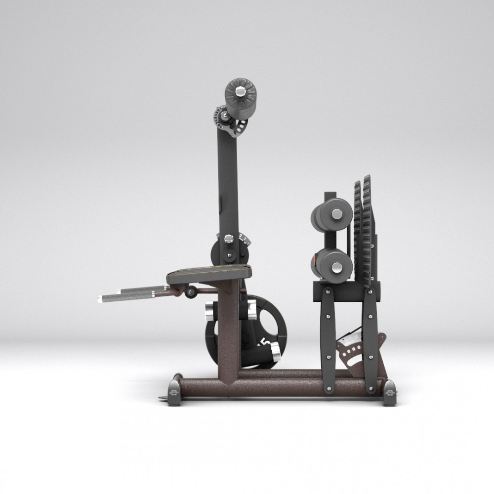 gym80_4375_pure_kraft_inverse_leg_curl_NC_side.jpg