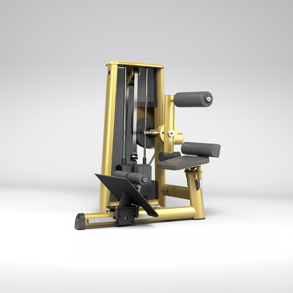 2026_sygnum_combo_0003_gym80_5012_abdominal_and_back_combo_NC_overviewp.jpg