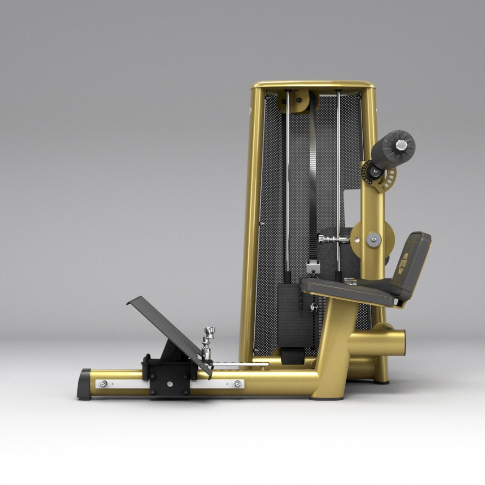 gym80_3038_lower_back_machine_NC_side.jpg