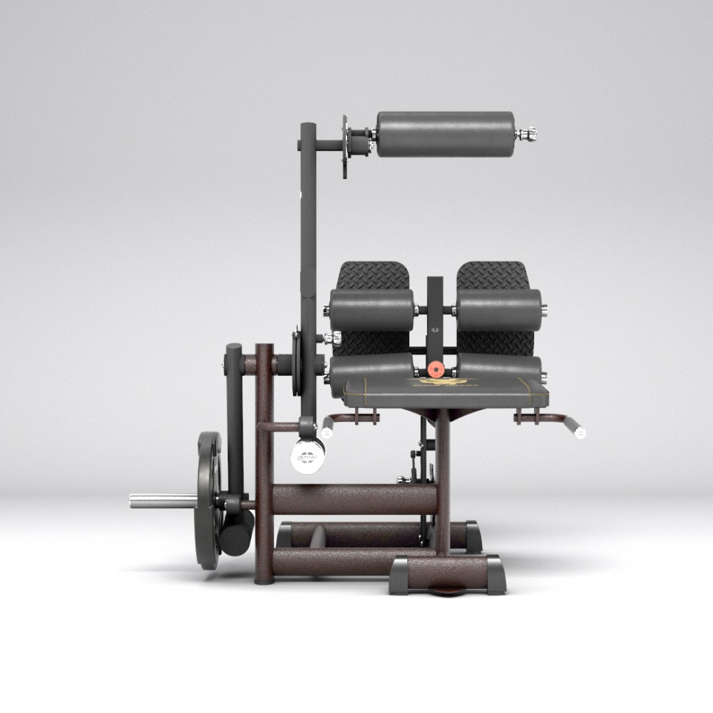 gym80_4375_pure_kraft_inverse_leg_curl_NC_front.jpg
