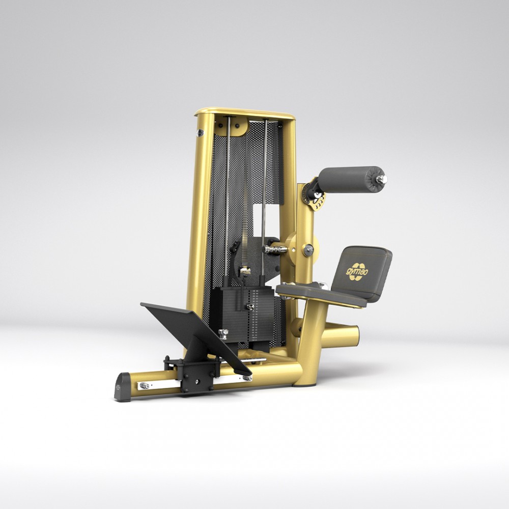 2026_sygnum_0031_gym80_3038_lower_back_machine_NC_overviewp.jpg