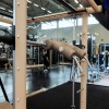 4391-fibo_02.jpg