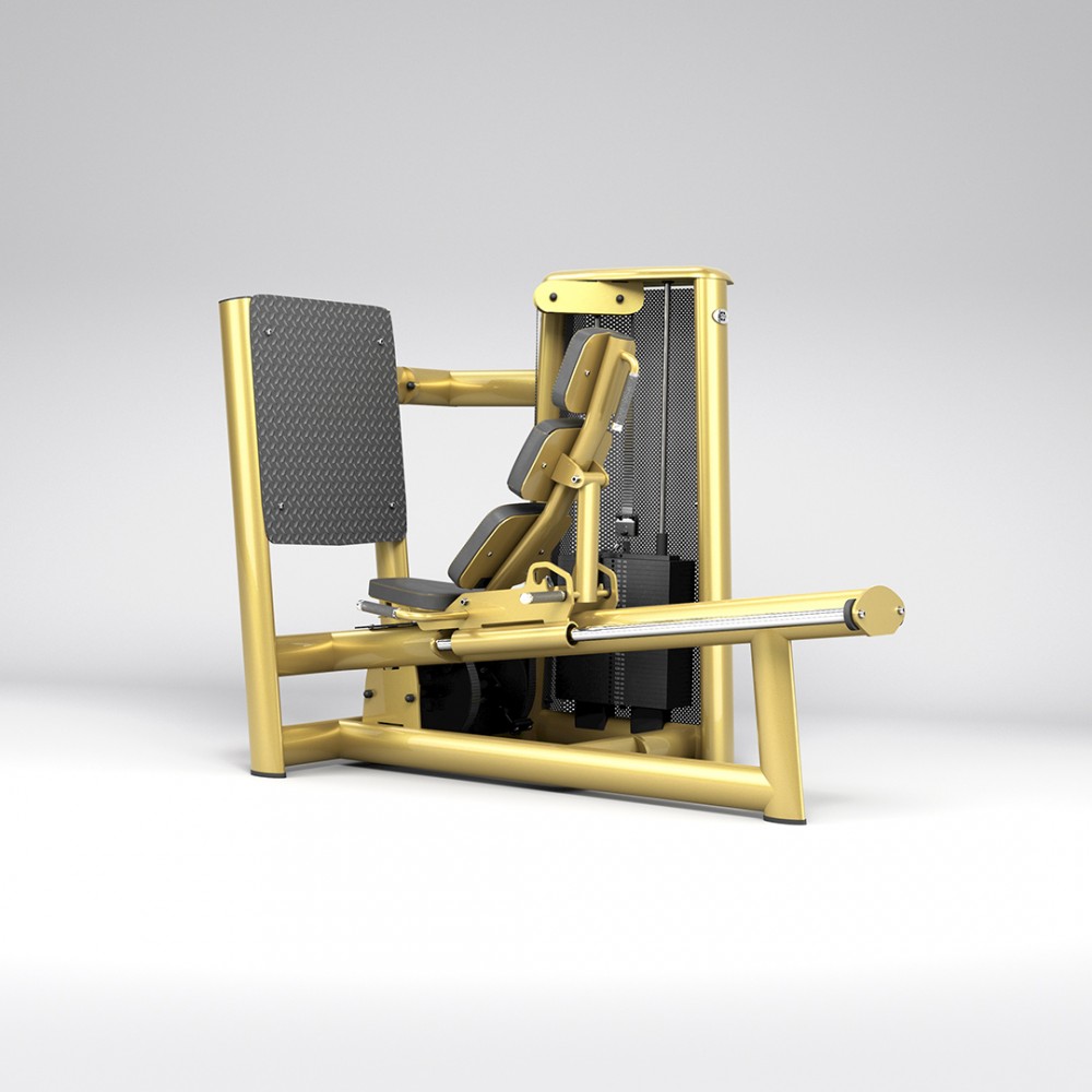 2026_sygnum_0025_gym80_3030_seated_leg_press_NC_overviewp.jpg