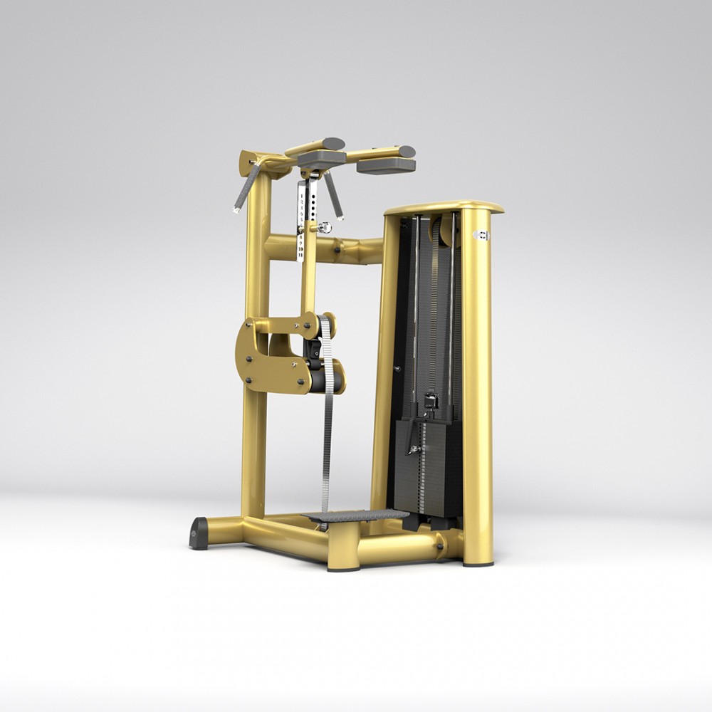 2026_sygnum_0016_gym80_3018_standing_calf_raise_machine_NC_overviewp.jpg
