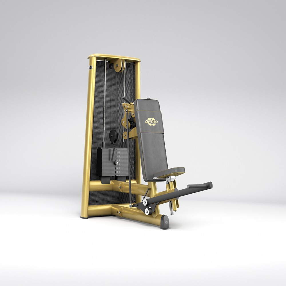 2026_sygnum_0039_gym80_3095_triceps_overhead_NC_overviewp.jpg