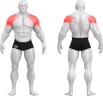 3099_STANDING SHOULDER LATERAL RAISE.png